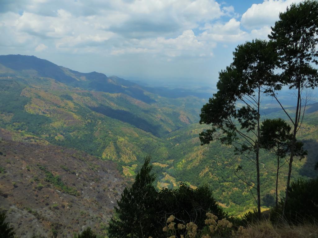 Wunderschöner Ausblick: Das Ella Gap im Hochland von Sri Lanka