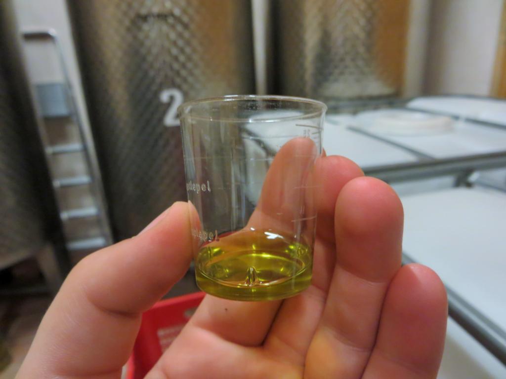 Einer der besten Teile meines Wwoofing Erlebnisses: Das Testen des selber hergestellten Olivenöls.