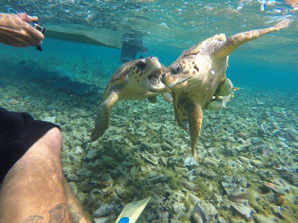 Unterwasserwelt in Caye Caulker. Photocredit an meinen Mitreisenden Finne Eero. Danke für das Bild!